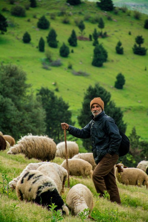masoud-momenian-1NRJxv4BJAU-unsplash